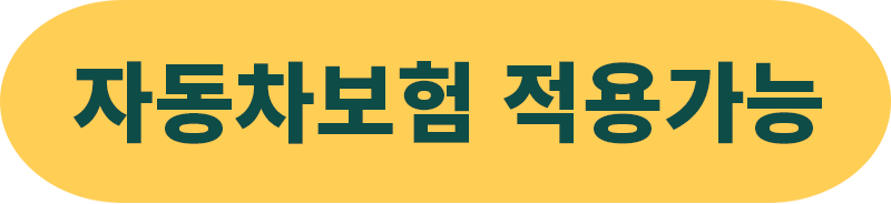 자동차보험 적용가능